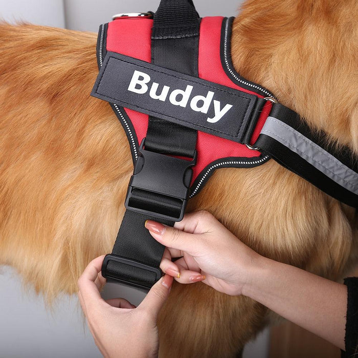 EasyHarness® - Harnais pour Chien Personnalisé Anti-Traction