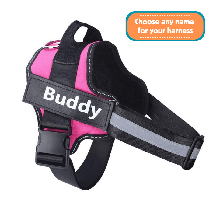 EasyHarness® - Harnais pour Chien Personnalisé Anti-Traction