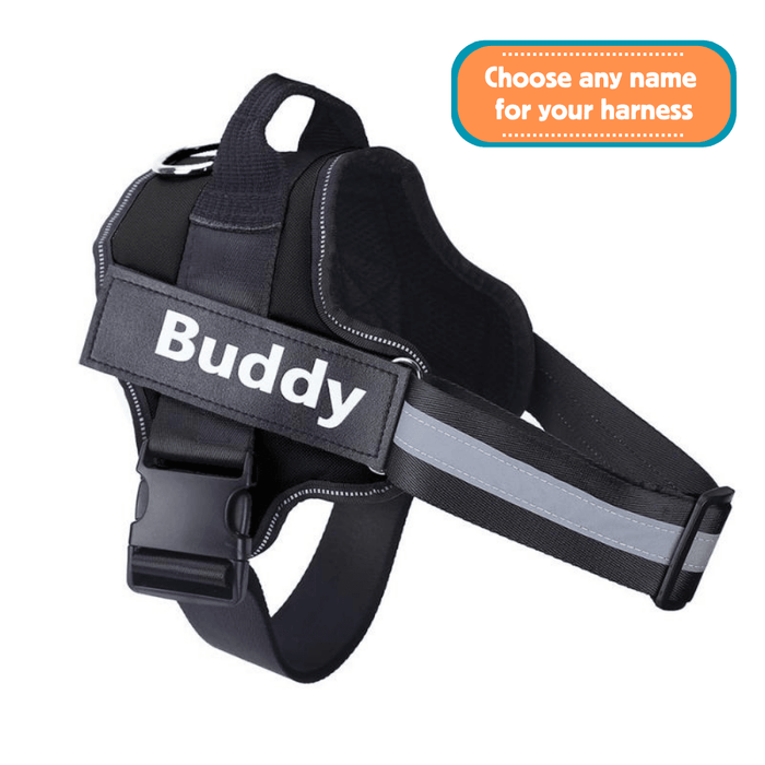 EasyHarness® - Harnais pour Chien Personnalisé Anti-Traction