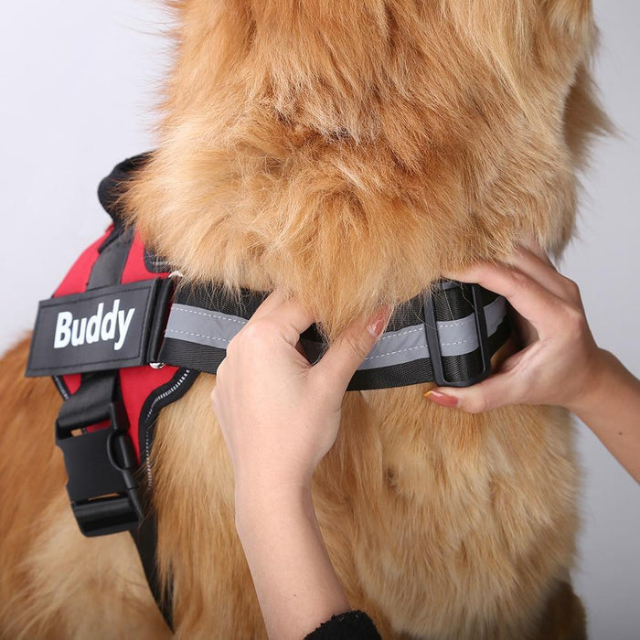 EasyHarness® - Harnais pour Chien Personnalisé Anti-Traction